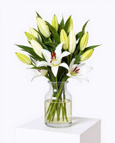 Peaceful Lily Vase